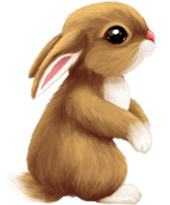 0602or3d-2fd7-241x291.png