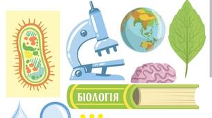 Календарне планування (І семестр) біологія 7 клас з групами оцінювання+ПКР 1( ГР1, ГР2,ГР3)+ПКР2(ГР1, ГР2)