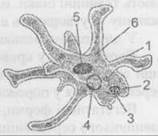 0602orri-4b71-158x136.jpg