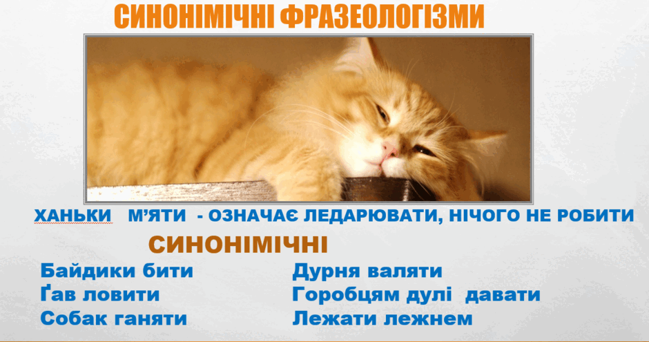 0602os72-f42c-940x495.png