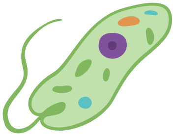 0602osyz-1eef-352x283.png