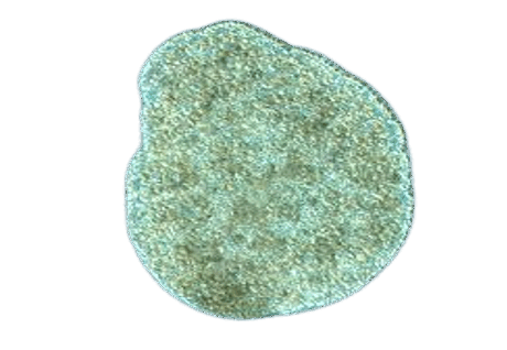 0602otw5-191f-460x318.png