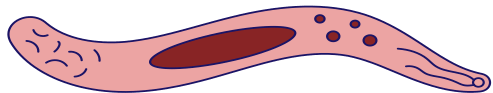 0602otw9-5d5c-493x93.png