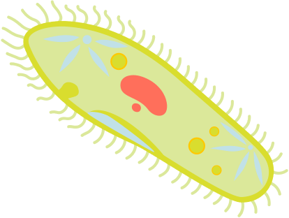 0602otww-b7b5-414x312.png