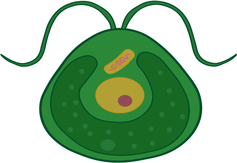 0602otwz-d8a7-462x318.png
