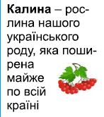 0602ouf5-8ab5-147x166.png