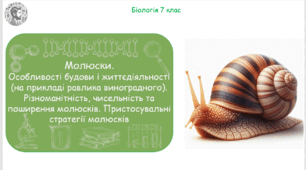 Урок на тему "Молюски. Особливості будови і життєдіяльності (на прикладі равлика виноградного). Різноманітність, чисельність та поширення молюсків. Пристосувальні стратегії молюсків" (Конспект, презентація, робочі аркуші)