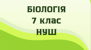 § 19. Яка будова та функції листка. Які є його видозміни