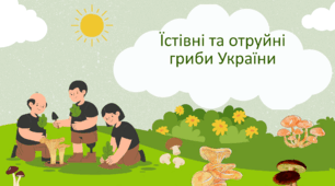 Їстівні та отруйні гриби України