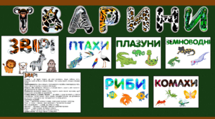 Картки "Групи тварин"