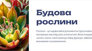 Презентація: "Будова рослини"