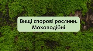 §23 Вищі спорові рослини. Мохоподібні