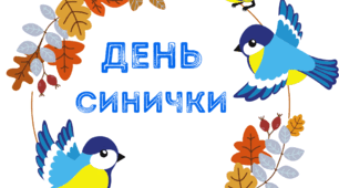 День СИНИЧКИ. Напис-розтяжка "День СИНИЧКИ"