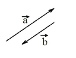 0602p37n-1837-255x193.png