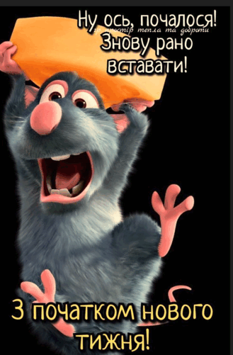 0602p62t-96e8-329x501.png