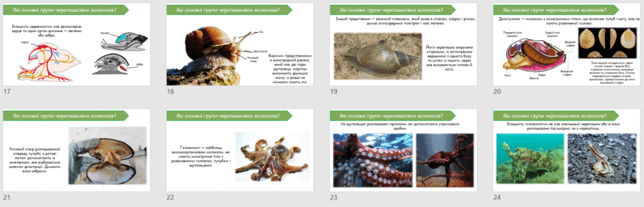 0602p6c3-3a70-940x303.png