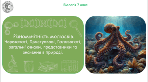 Урок на тему "Різноманітність молюсків. Черевоногі, Двостулкові, Головоногі, загальні ознаки, представники та значення в природі" (Конспект, презентація, робочі аркуші)