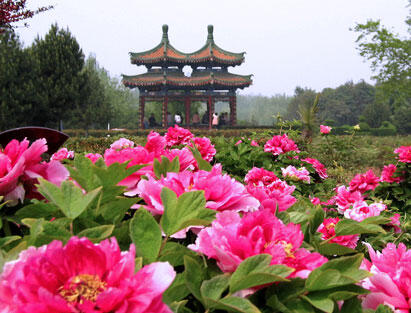 0602p8ie-2876-411x313.jpg