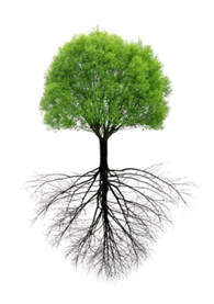 0602pc9u-dc19-195x277.png