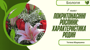 Покритонасінні рослини: характеристика родин. 7 клас. НУШ