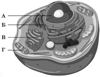 0602phib-416d-324x251.png