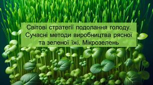 Стратегії подолання голоду. Рясна та зелена їжа. Мікрозелень 7 клас STEM. 2024 Проєкт "Вирощування мікрозелені"