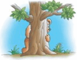 0602pk2f-b061-158x124.png