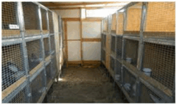 0602pkz5-0caa-253x151.png
