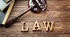 Legal terms. Present, Past, Future Simple 