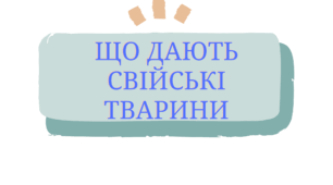 Що дає людині - свійські тварини