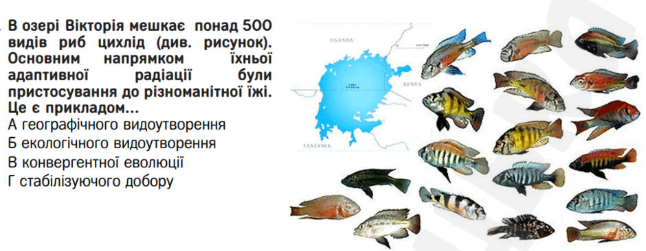 0602pukz-2eef-940x366.png