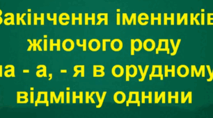 Закінчення іменників жіночого роду на -а, -я в Орудному відмінку однини.
