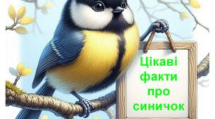 Картки "Синички: маленькі генії природи"