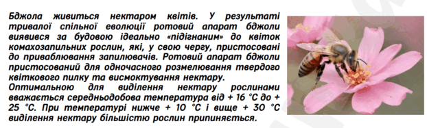0602pura-b006-622x187.png