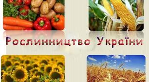 Рослинництво України 