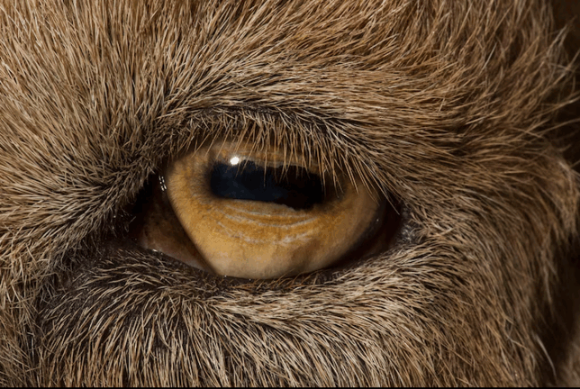 0602q9p9-237c-644x432.png