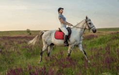 0602qcvs-eb0b-245x155.png