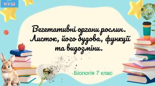 Презентація НУШ "Вегетативні органи рослин. Листок, його будова, функції та видозміни."