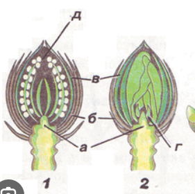 0602qef6-f56c-281x280.png