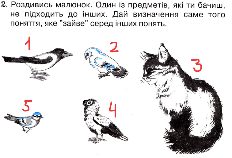0602ql76-2b9b-757x515.png