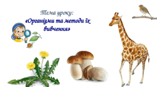 Тема уроку:  «Організми та методи їх вивчення»