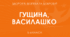 Навчальна програма з індексами -"Здоров’я, безпека та добробут" 5-6 клас ( за Гущиною)