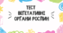 Тест для учнів 7 класу на тему: "Вегетативні органи рослин"