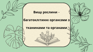 Вищі рослини - багатоклітинні організми з тканинами та органами