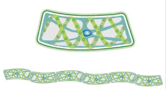 0602qy0o-de64-274x147.png