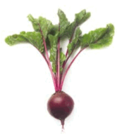 0602qy1t-d0b5-183x191.png