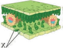0602qy2a-f999-215x165.png