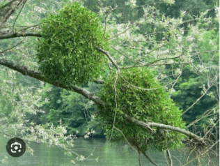 0602r30u-e3f4-316x238.png