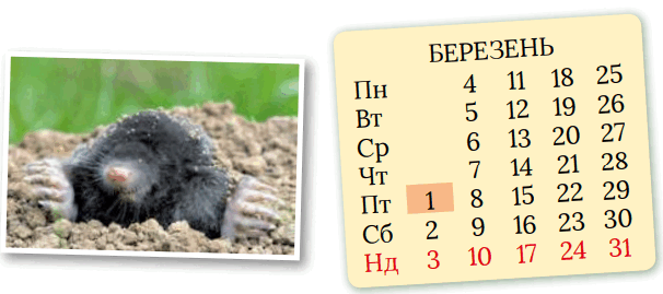 0602r4pg-fb58-606x269.png