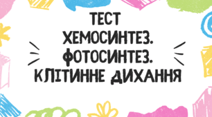Тест для учнів 9 класу на тему: "Фотосинтез. Хемосинтез. Клітинне дихання"